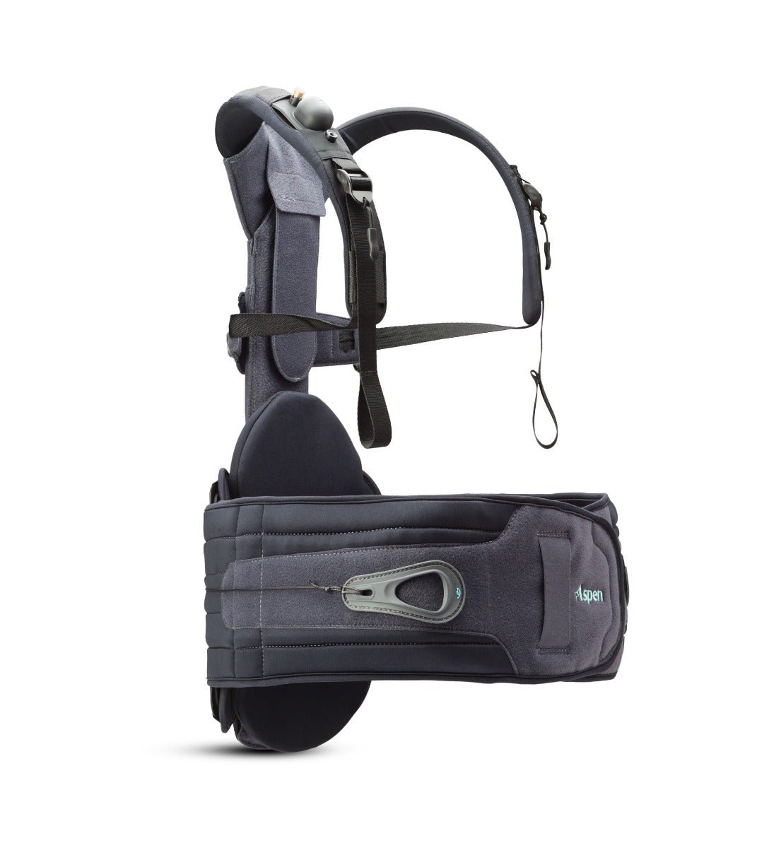 Aspen Active™ P-TLSO - الصورة 2